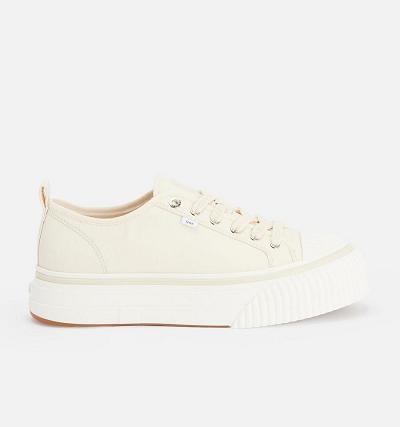 AMI PARIS Low Top Ami 1980 Sneakers Beige | ami_CA148