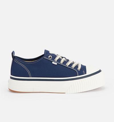 AMI PARIS Low Top Ami 1980 Sneakers Navy | ami_CA234