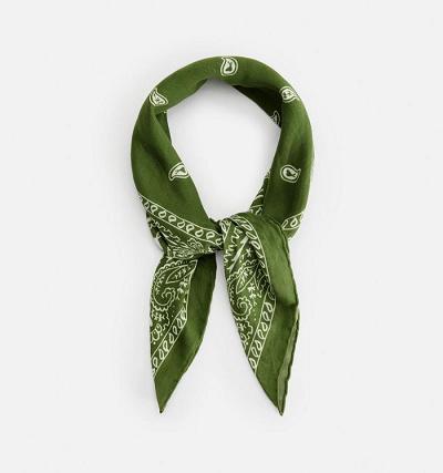 AMI PARIS Scarves Green | ami_CA623